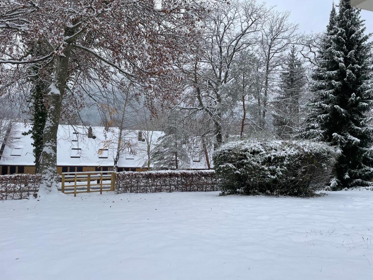 Charmant Studio En Pleine Nature Klingenthal Εξωτερικό φωτογραφία