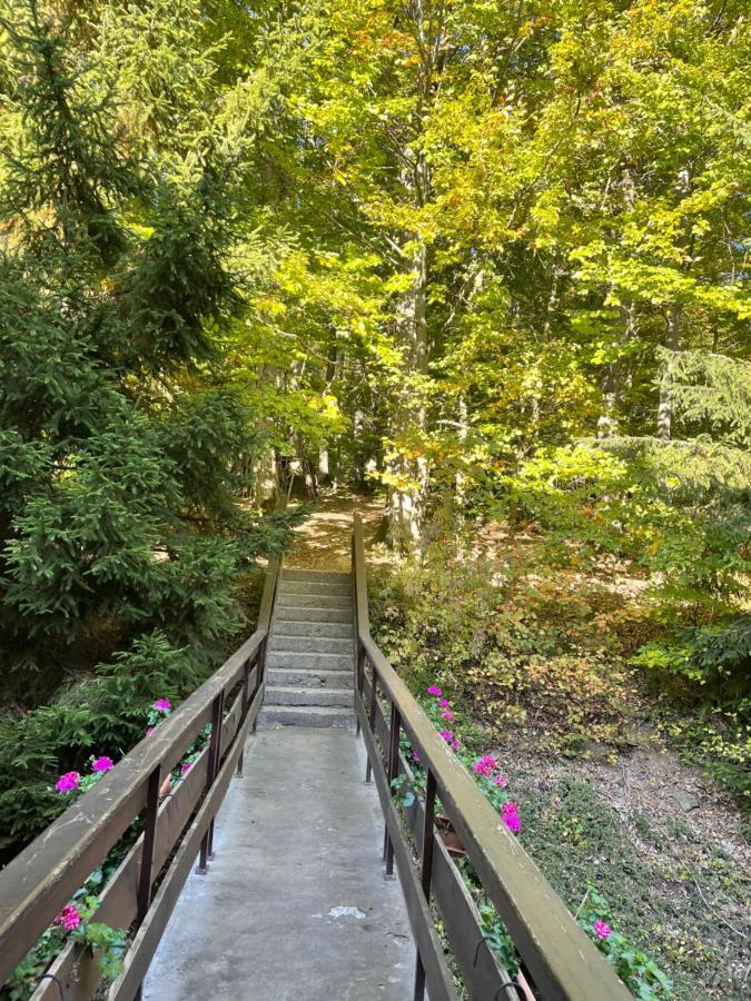 Charmant Studio En Pleine Nature Klingenthal Εξωτερικό φωτογραφία